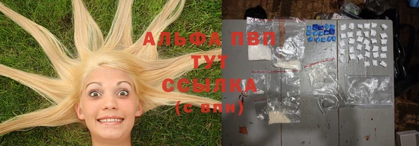 сатива Липки