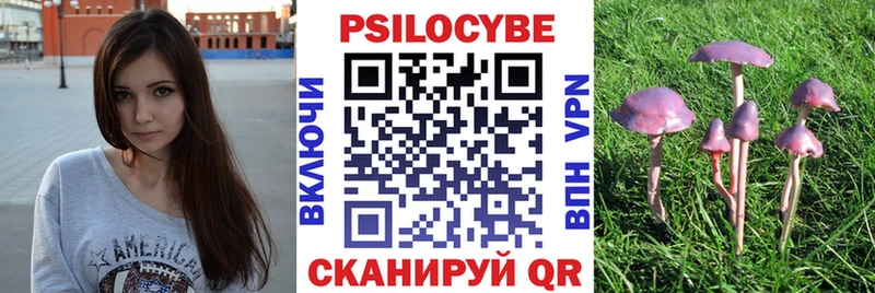 Псилоцибиновые грибы Cubensis  Купить закладки  Медынь 